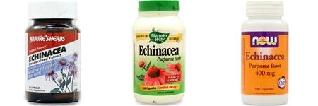 best echinacea supplements