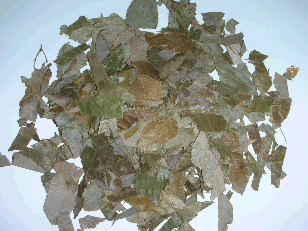 Dried epimedium (horny goat weed) leaves