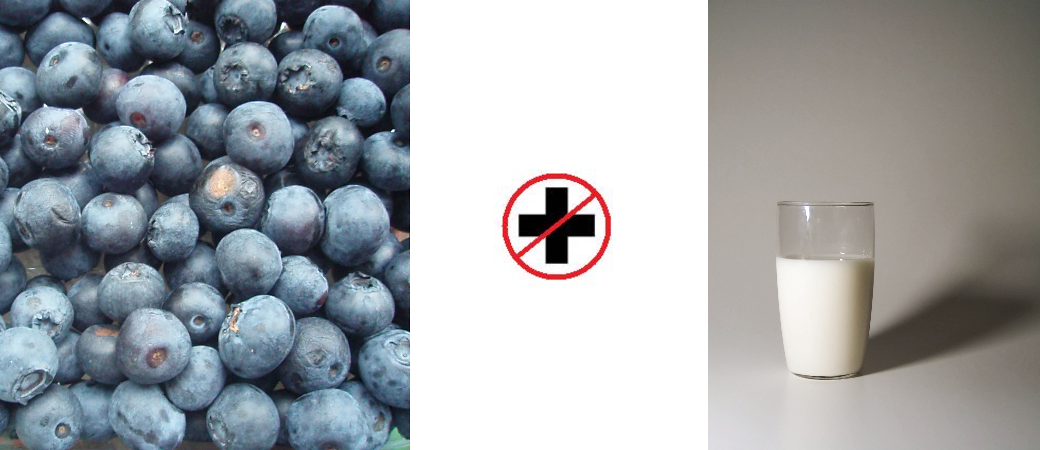Find out why you probably don't want to mix blueberries with milk or milk proteins like whey or casein.