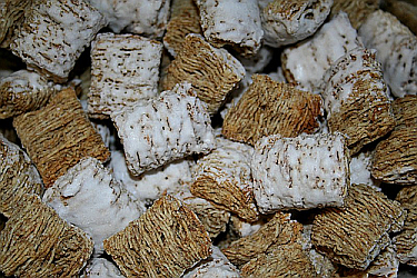 Frosted Mini-Wheats boost attentiveness in kids? No, but there are other options and approaches. 